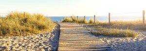 A wooden boardwalk leading to a beach