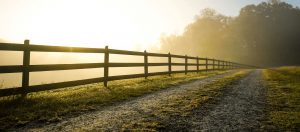 A country road at dawn lined with a wooden fence